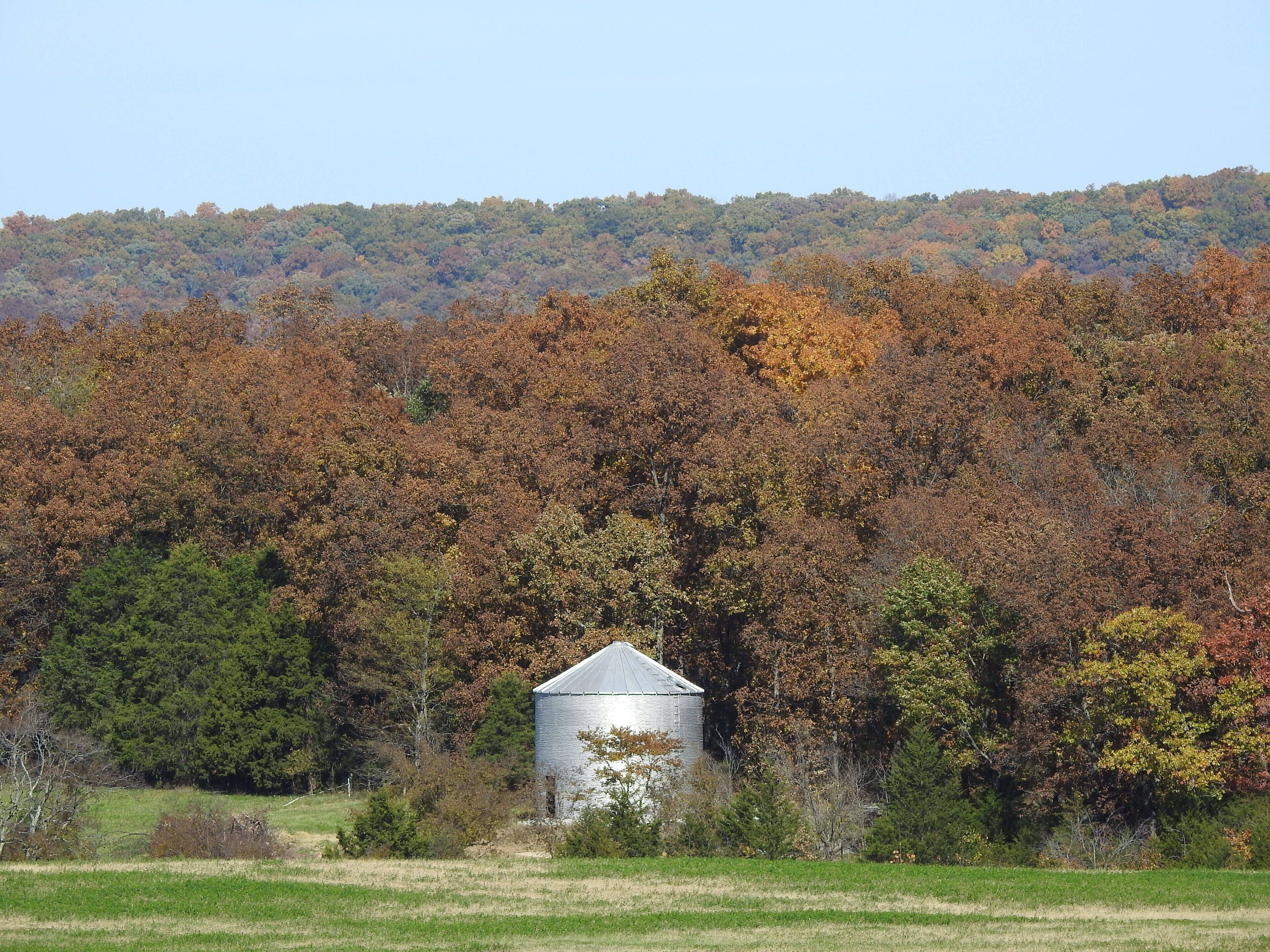 A rural landscape with a single white barn surrounded by autumn-colored trees.