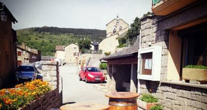 O'Friendly Golden Cottage 12