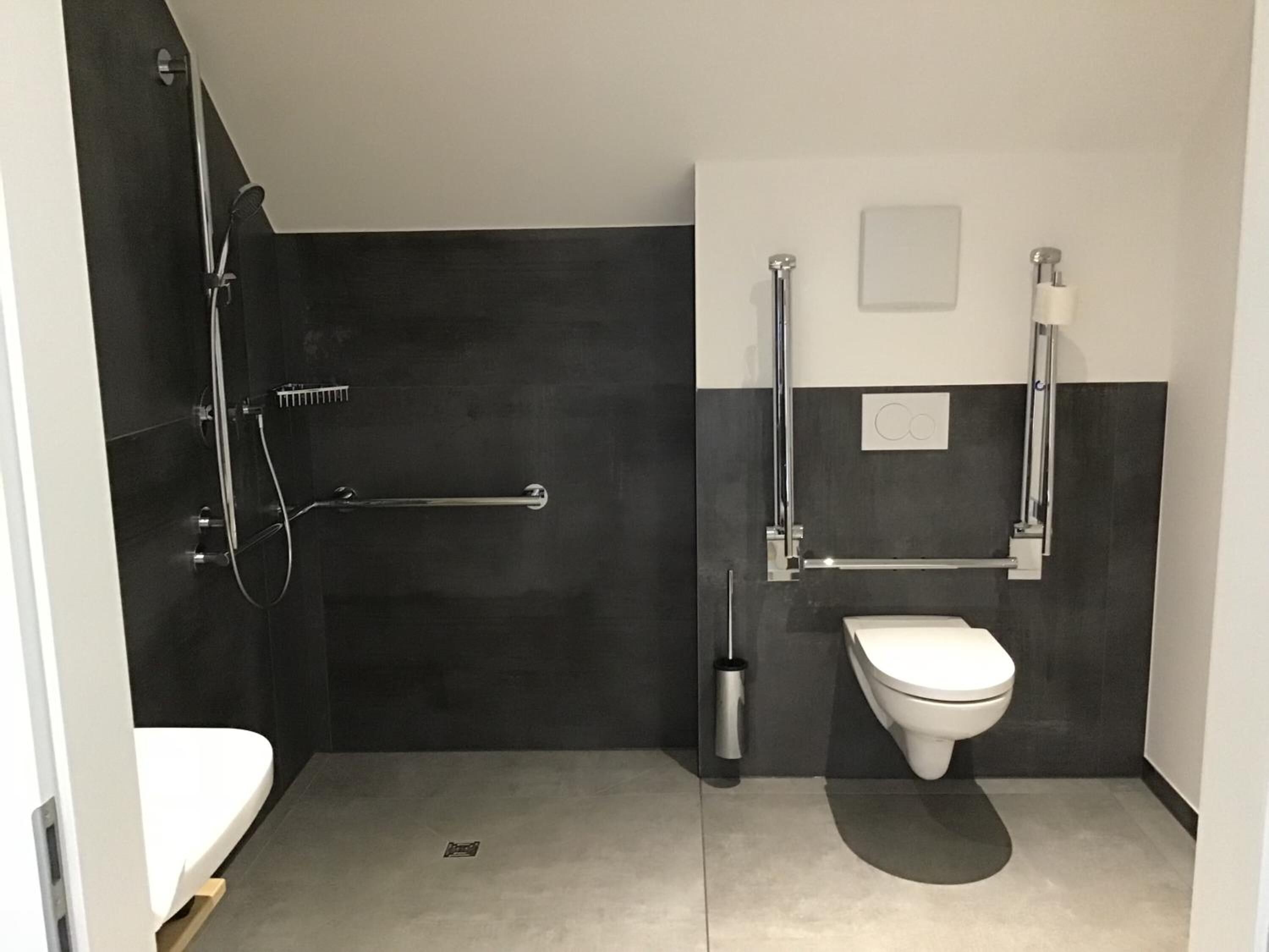 A modern bathroom with a shower, toilet, and handrail.