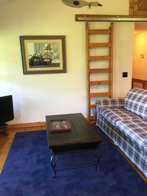 TV, fireplace, books - Attitude  Adjustment! (Fancy Gap)