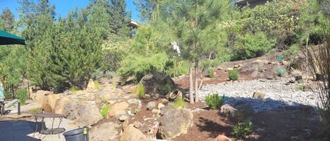 Terrein van de accommodatie