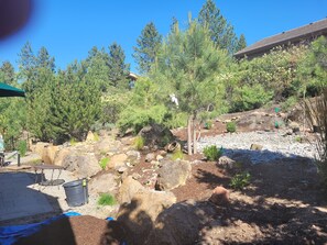 Relax in a serene outdoor space surrounded by trees, a rock formation, and a small waterfall.
