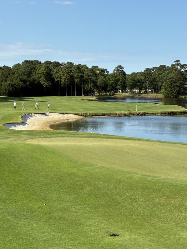 Golf - Large, 1st floor, corner unit, 3bedroom 3bath, True Blue Golf Course! (Pawleys Island)