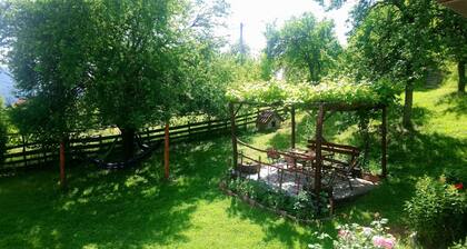 Bienvenue Ă la maison d'hĂŽtes Little Heaven. Câest un plaisir de vous inviter Ă nous rendre visite!