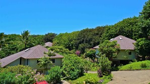 A residential area with houses surrounded by lush greenery and trees. - South Shore Island Getaway at Poipu Crater 7 (Po'ipu)