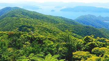 A lush, green mountainous landscape with dense forest and a distant body of water.