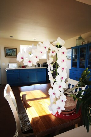 Dining - The Cabin at Windy Gap (Joshua Tree)