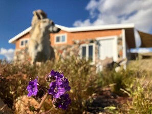 Exterior detail - The Cabin at Windy Gap (Joshua Tree)
