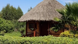 Una cabaña con techo de paja, un pequeño porche y zona de estar, rodeada de exuberante vegetación y árboles.