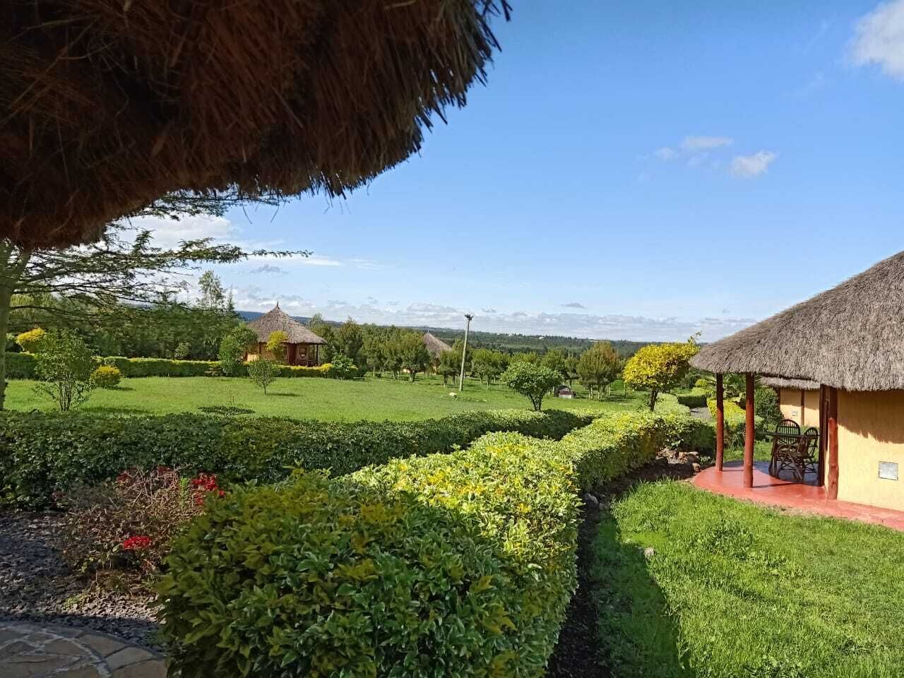 Un jardín bien cuidado con setos ordenados, una estructura de techo de paja y un edificio pequeño al fondo.