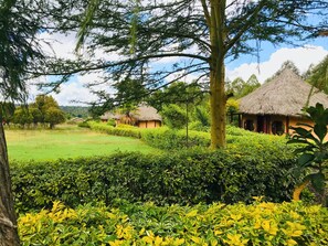 A rural setting with thatched-roof huts, lush greenery, and a clear sky.