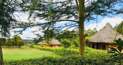 The Great Circle Lodge