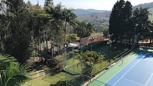 A tennis court with a green surrounding area, trees, and a building in the background.