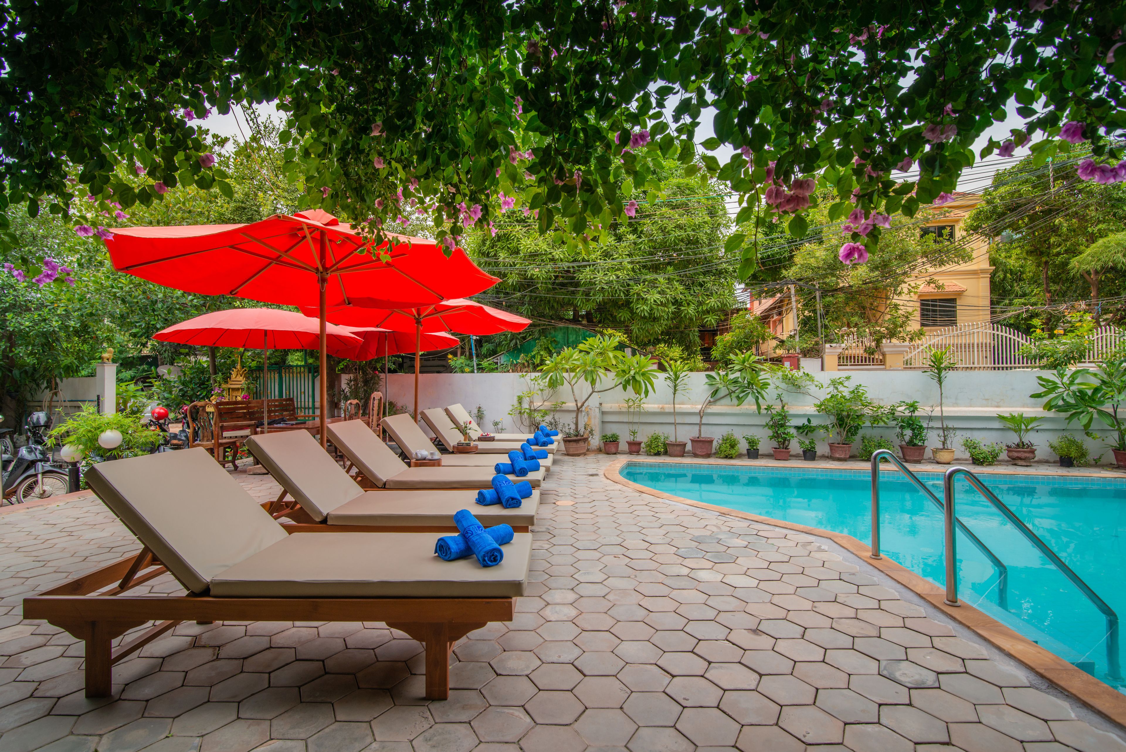 Photo - Five Rose Siem Reap Hostel