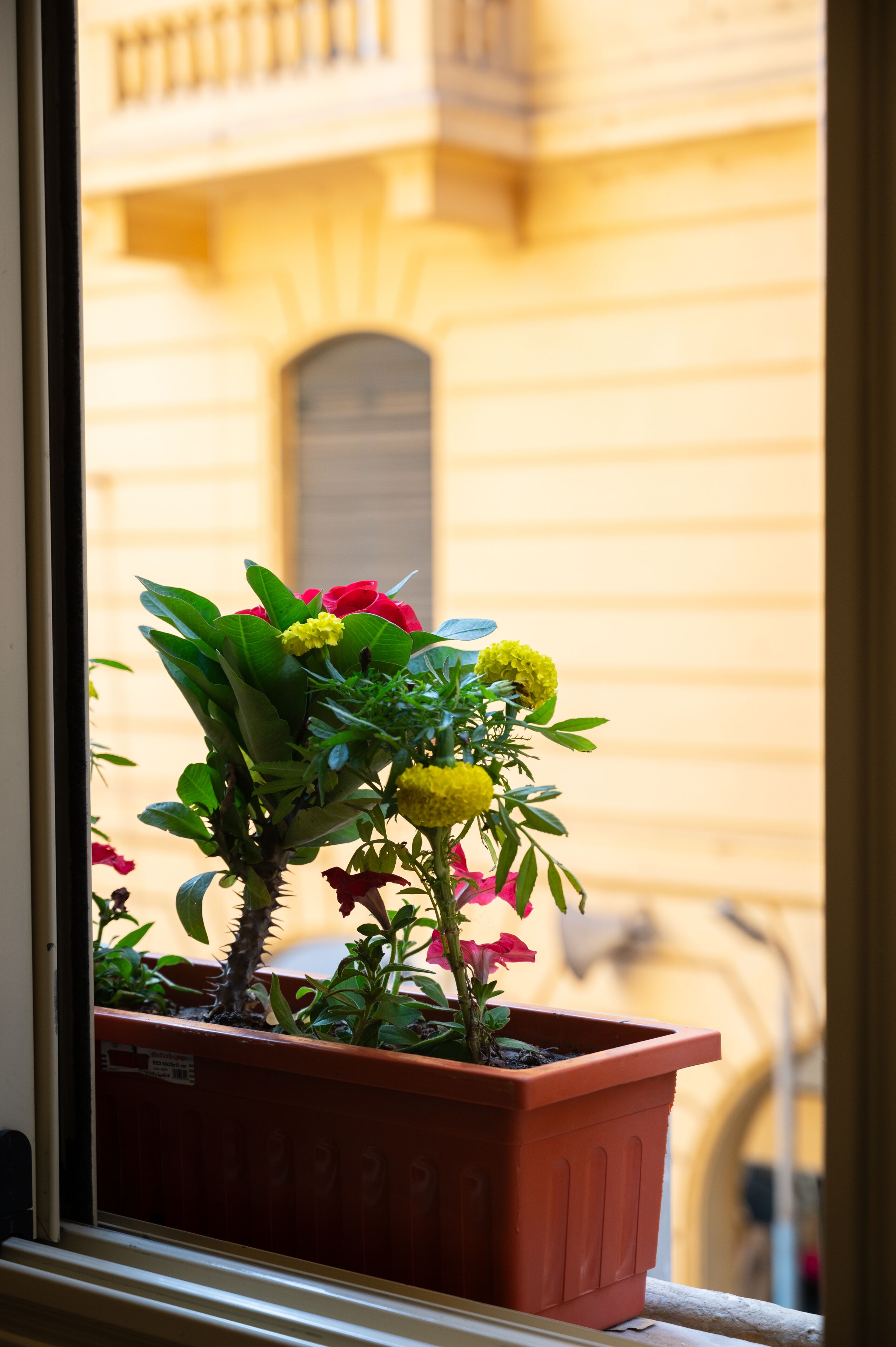 Photo - Cairo Hotel فندق القاهرة