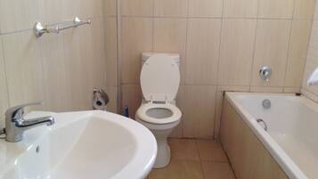 Dusch, gratis toalettartiklar, hÄrtork och handdukar