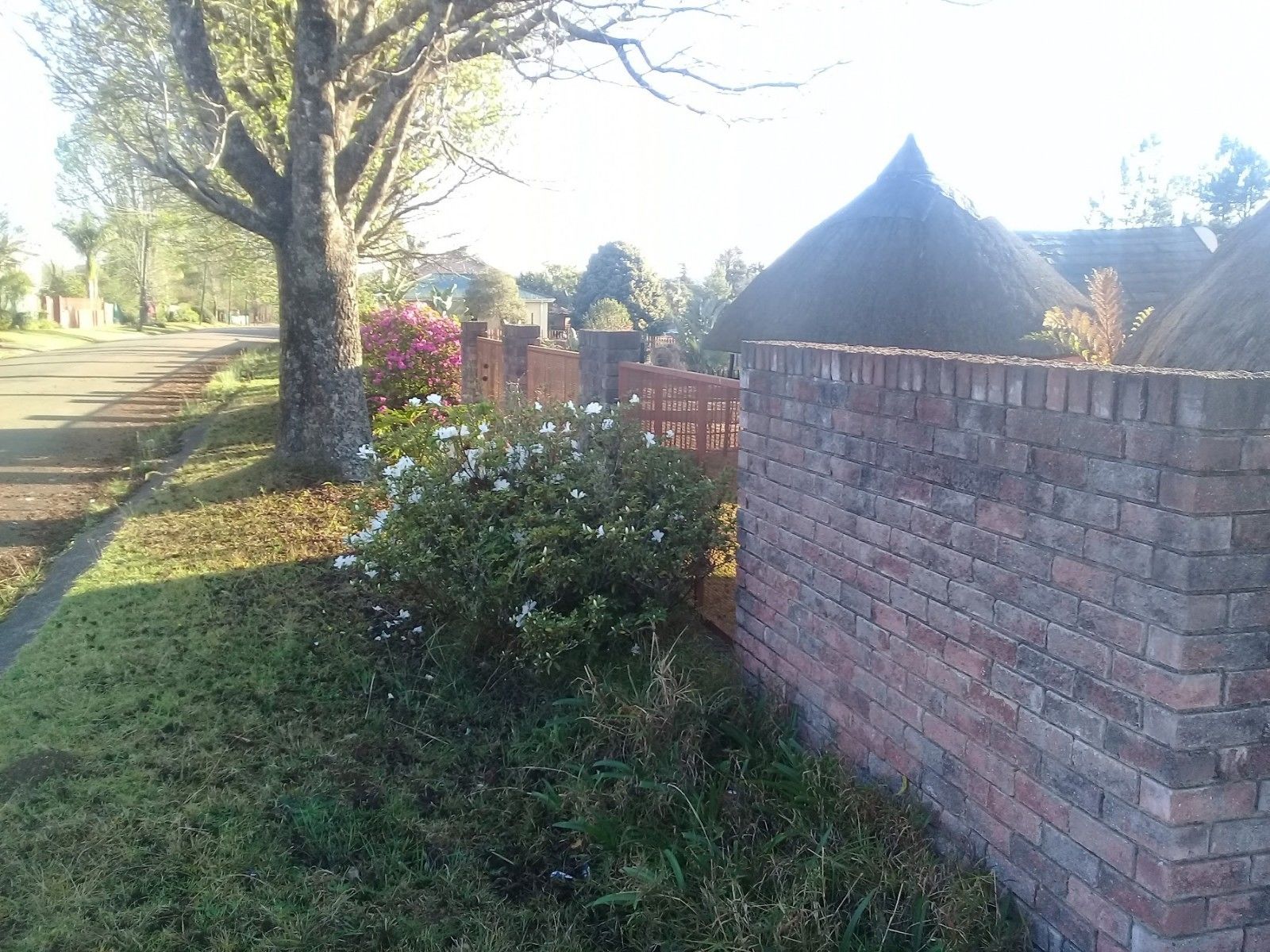 A brick wall with a small garden area and a tree.
