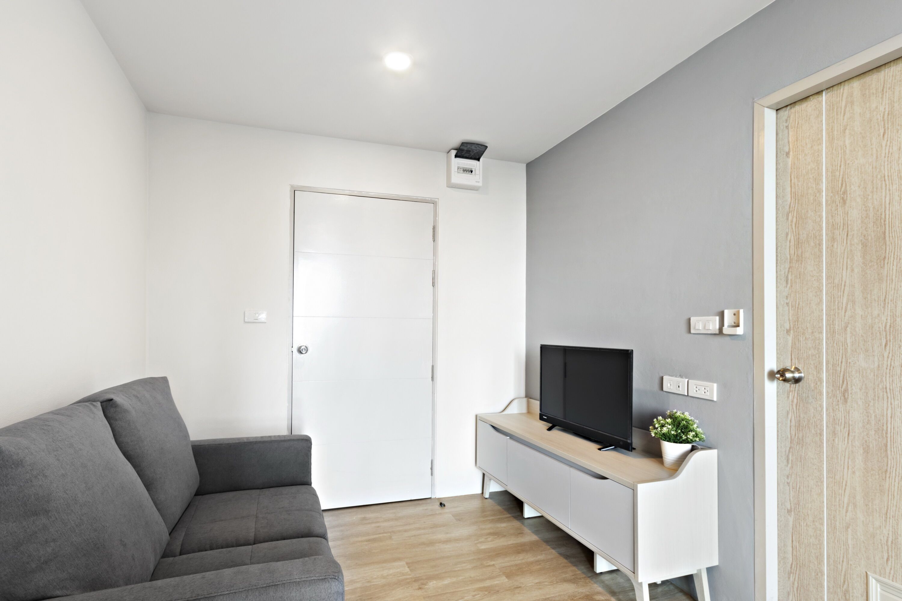 A modern living room with a grey sofa, a TV on a wooden stand, and a white door.
