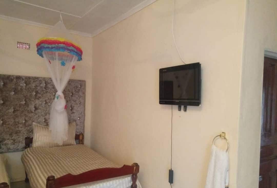 Une chambre avec un lit, une moustiquaire, une télévision et un porte-serviettes.
