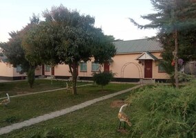 Un edificio con fachada color crema, una puerta roja y un pequeño árbol en primer plano.