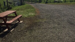 Área de parrillas y picnic