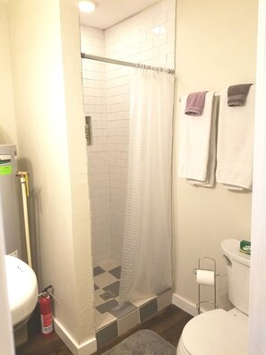 Hair dryer, towels, soap, shampoo