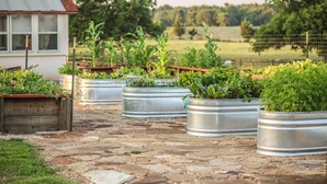 A garden with raised metal planters and a rustic building in the background. - Garden Cottage at Rockin Star Ranch (Brenham)