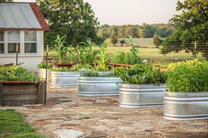 Overnattingsstedets uteområder