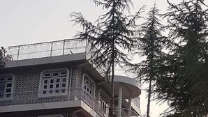 舒適帳棚