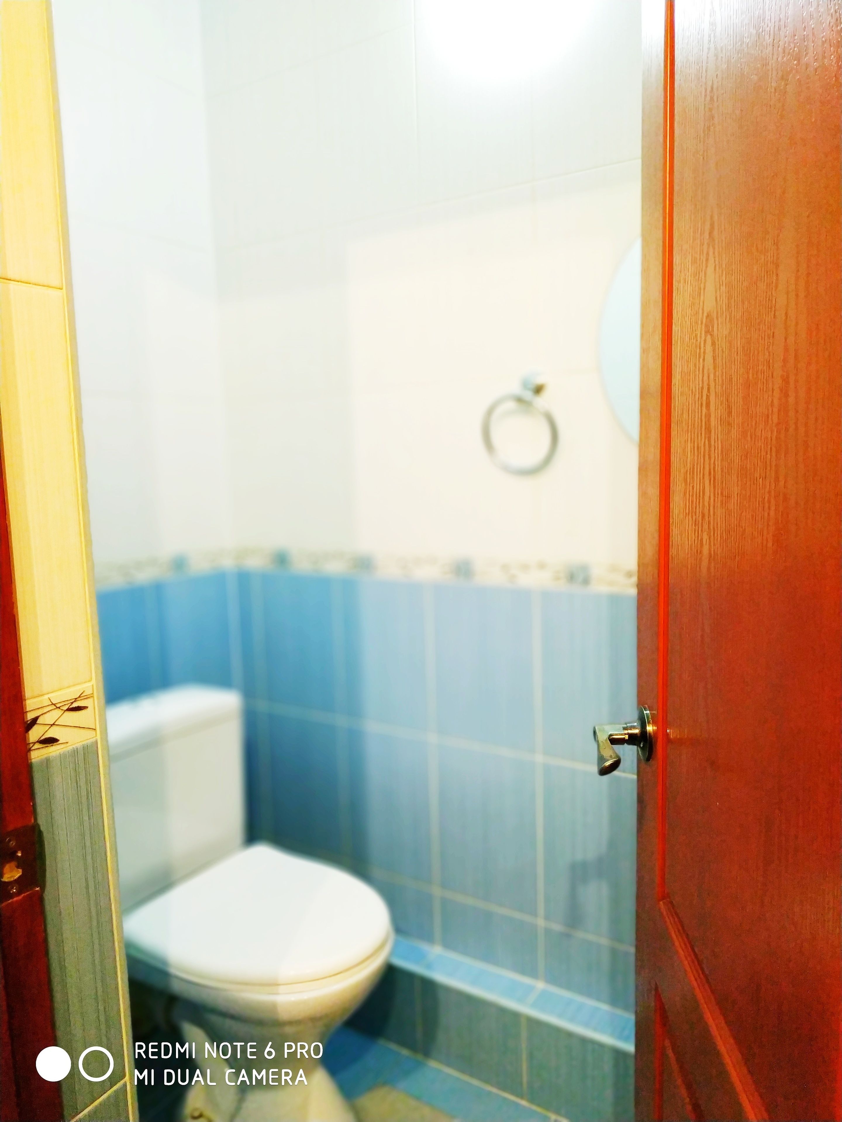 A bathroom with a toilet, blue tiles, and a wooden door.