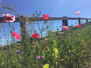 Kabin | Halaman properti