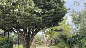 Un patio con mobiliario de mimbre, un árbol grande y un brasero.