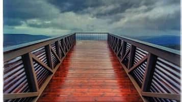 Guests can walk along the pier, taking in the serene views of the surrounding water.