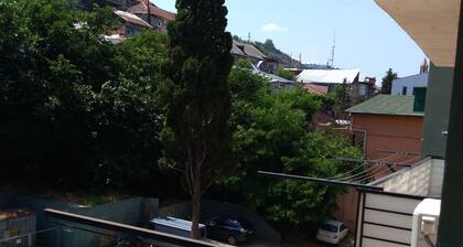 Duplex200