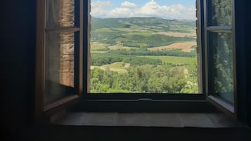 Appartement, 1 chambre (Granaio)