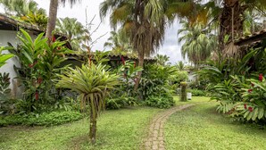 Jardin
