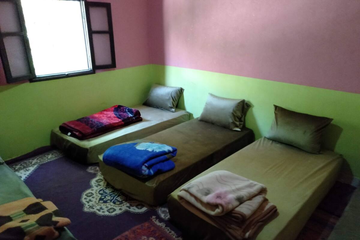 A small, cozy room with two single beds, a green and pink wall color scheme, and a patterned rug.