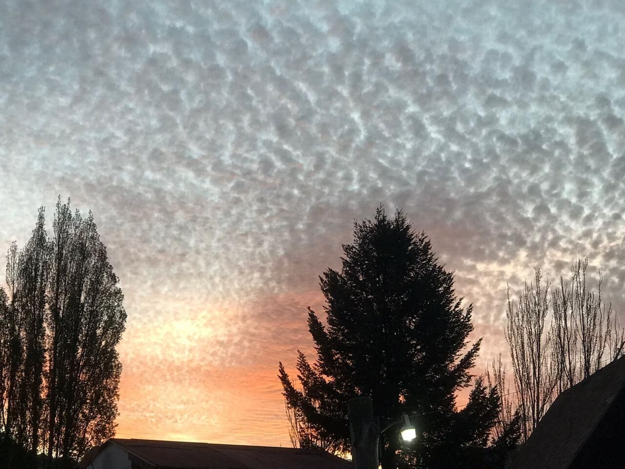 A sunset with a textured sky, silhouetted trees, and a building in the foreground.