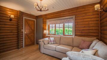 TV, fireplace, video games