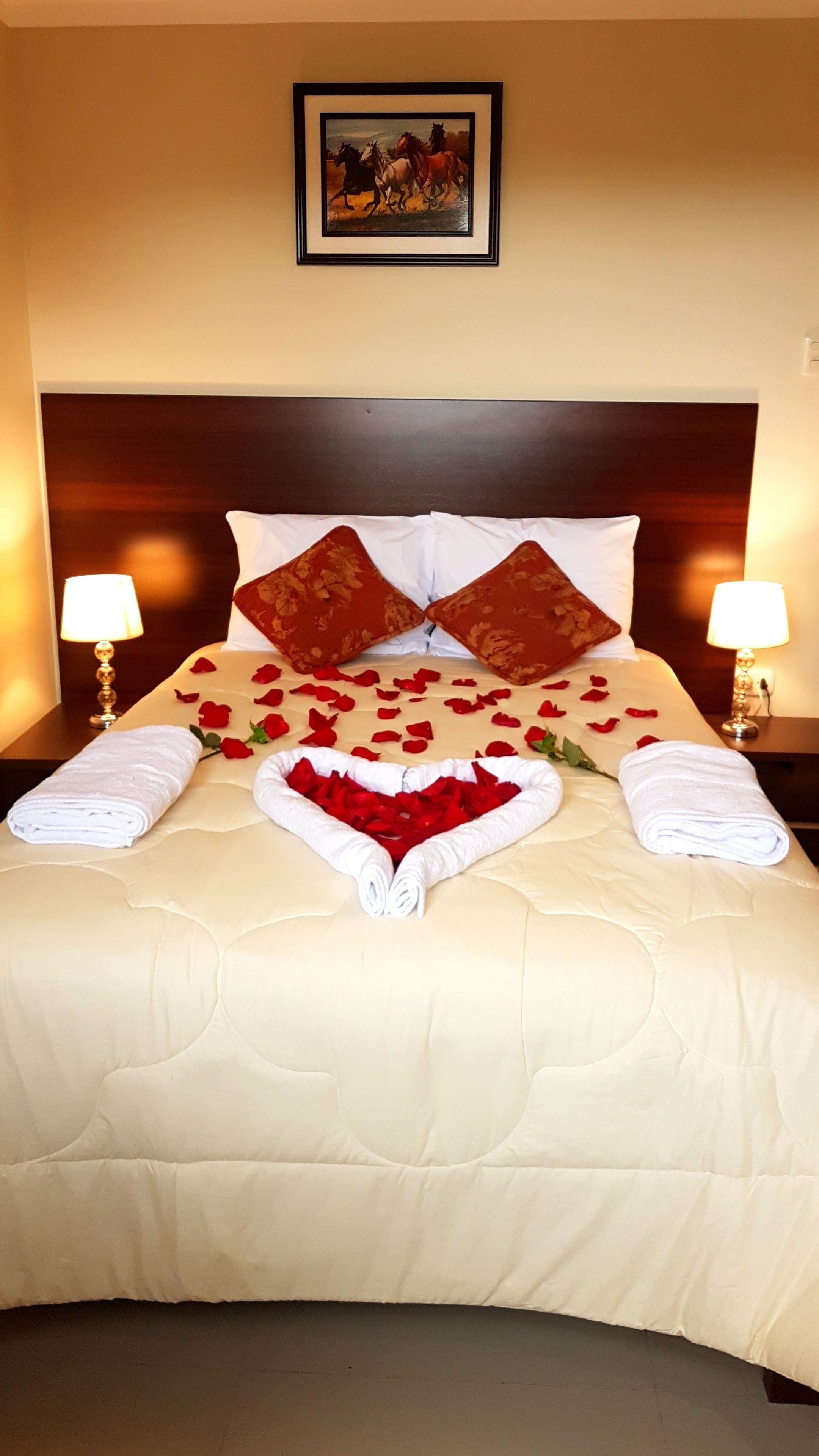 Hypo-allergenic bedding, down comforters, free WiFi, bed sheets