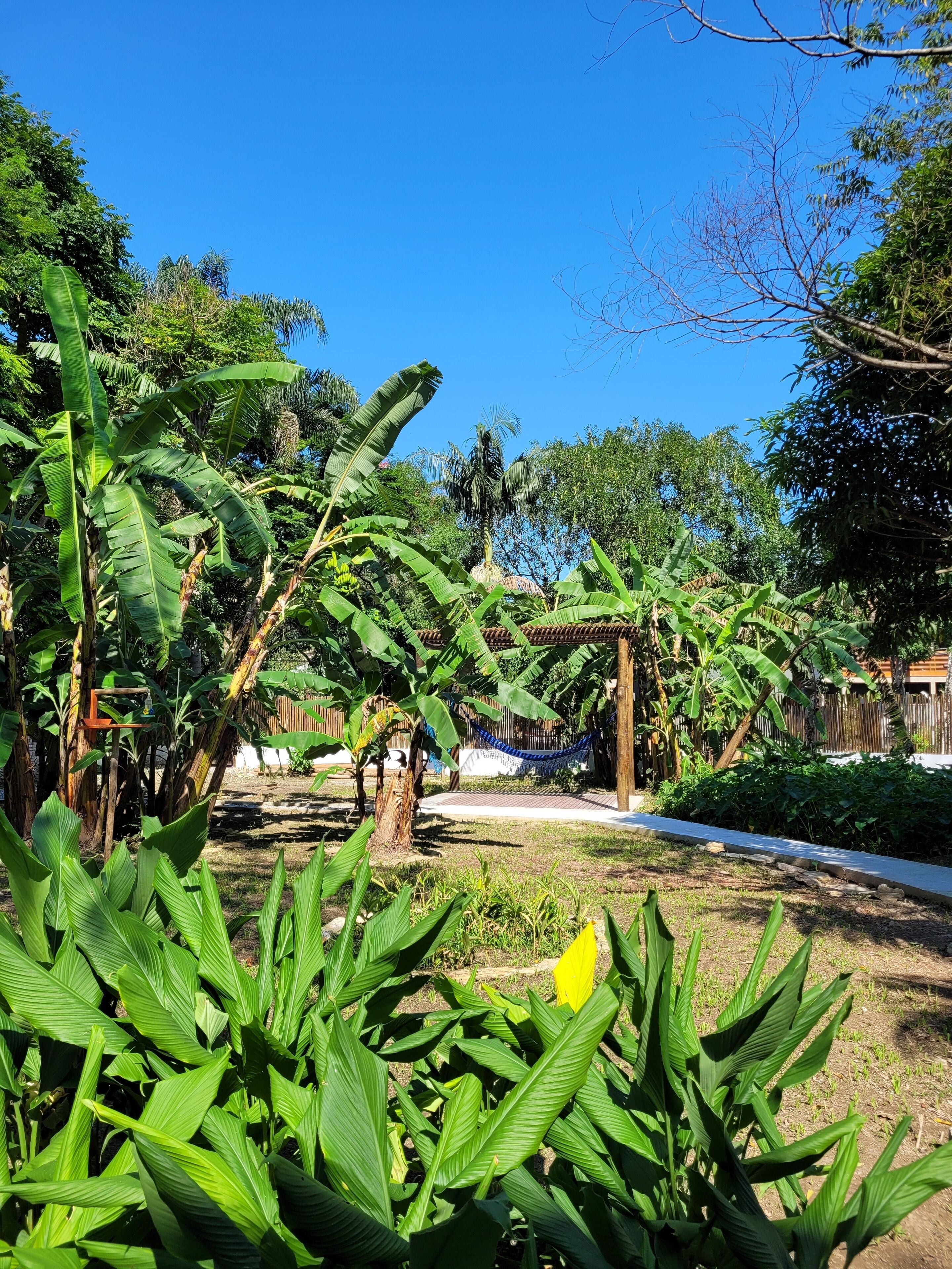Jardim