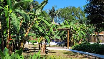 Jardim