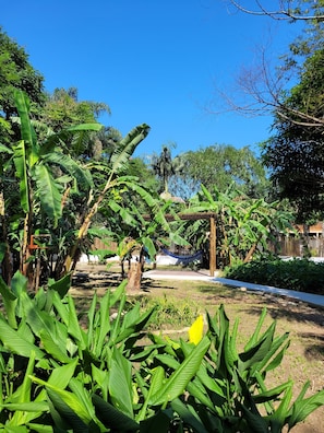 Jardín