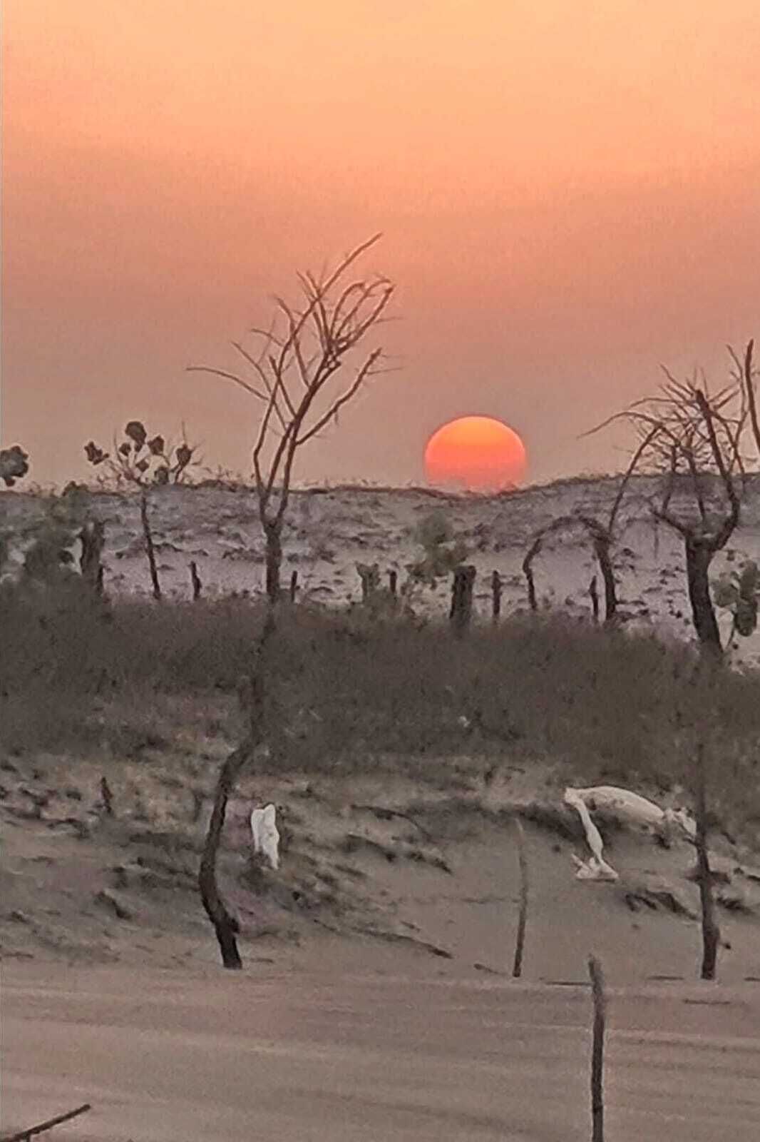 A sunset over a barren landscape with sparse vegetation and a few trees.