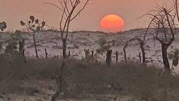 A sunset over a barren landscape with sparse vegetation and a few trees.