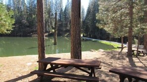 BBQ/picnic Area