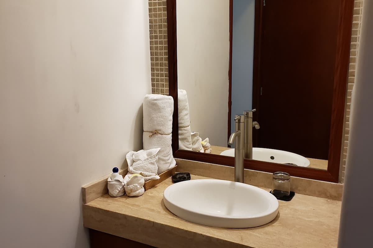 deluxe room, 1 king bed, pool view | bathroom amenities | shower, free toiletries, hair dryer, towels