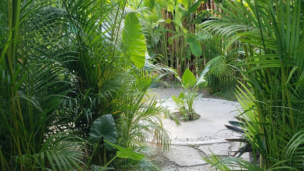 A pathway surrounded by lush green foliage, leading to a covered area with a bench. - Poza Clara Sanctuary Hotel (Bacalar)