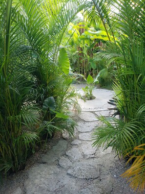 A pathway surrounded by lush green foliage, leading to a covered area with a bench. - Poza Clara Sanctuary Hotel (Bacalar)