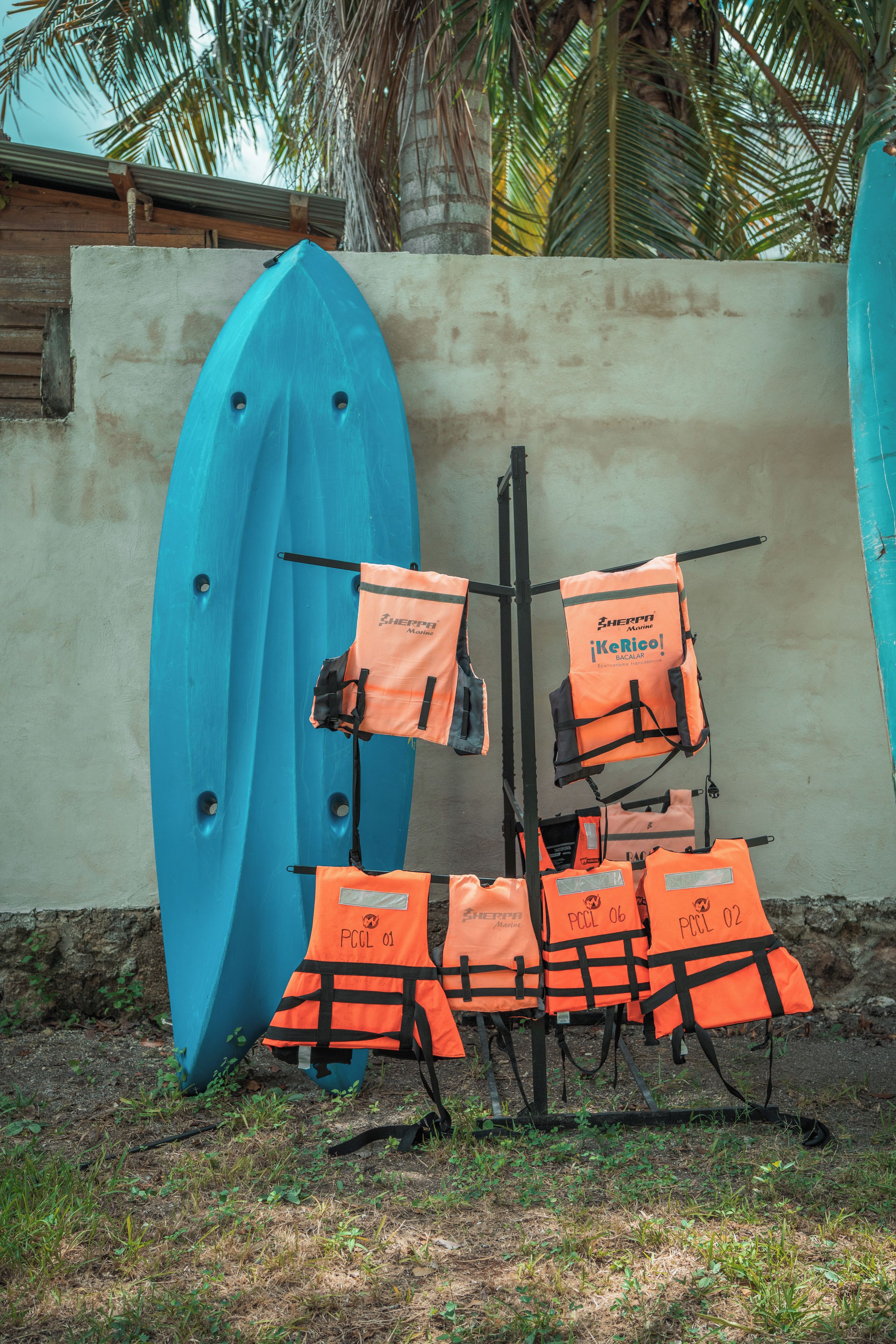 Une planche de surf bleue est appuyée contre un mur, et des gilets de sauvetage orange sont suspendus à un porte-manteau.